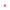 (Fucsia neon)