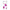 (Magenta)